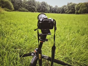 Rear view of man walking on grassy field