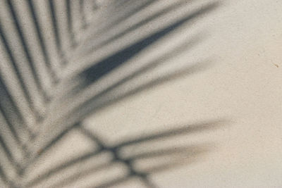 Full frame shot of shadow on wall