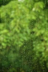 Close-up of water drops on leaf