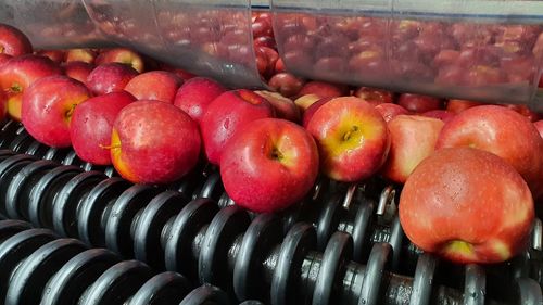 High angle view of apples in basket