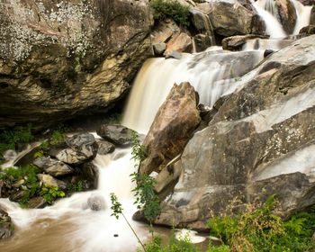 Stream flowing through rocks in forest