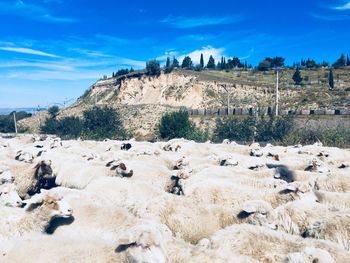 Panoramic view of people on landscape against sky