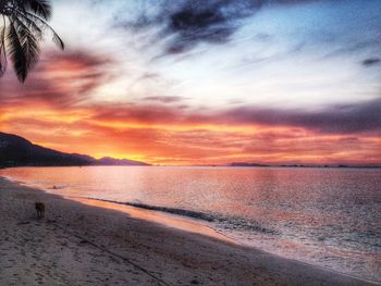 Scenic view of sea during sunset