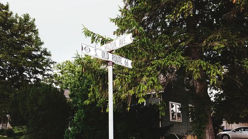 Information sign on tree