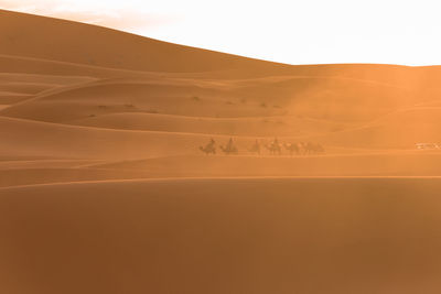 Scenic view of desert against sky