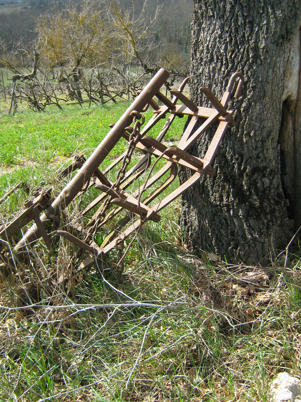 WOODEN FENCE ON FIELD BY TREES IN FOREST