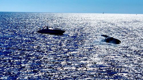 Scenic view of sea against blue sky