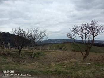 Bare trees on field against sky