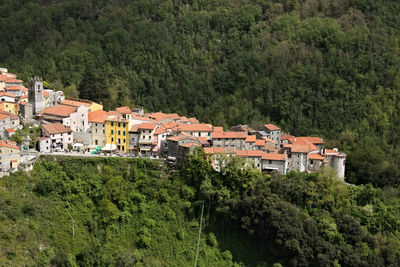 High angle view of townscape and trees in town