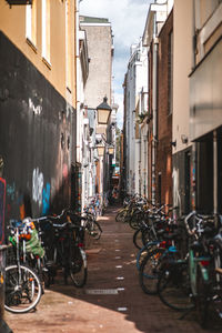 Bicycles on street in city