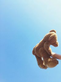 Close-up of teddy bear against clear sky during sunny day