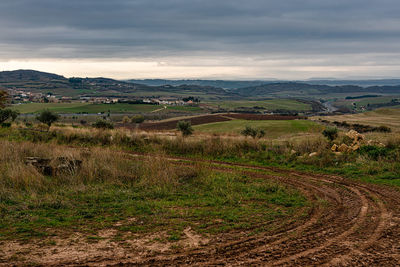 Scenic view of field against sky