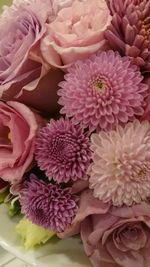 High angle view of pink flowering plant