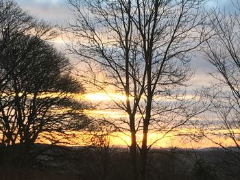 Silhouette bare trees against sky during sunset