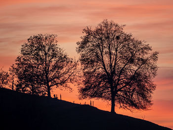 Low angle view of silhouette tree against orange sky
