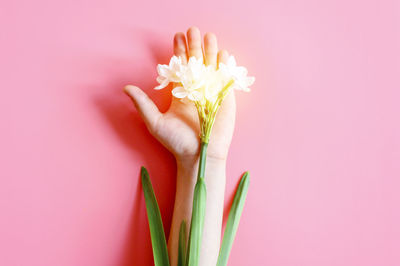 Close-up of hand holding pink flower