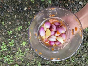 High angle view of eggs in container