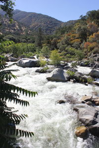 Scenic view of river by mountains