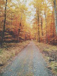 Road amidst trees in forest during autumn