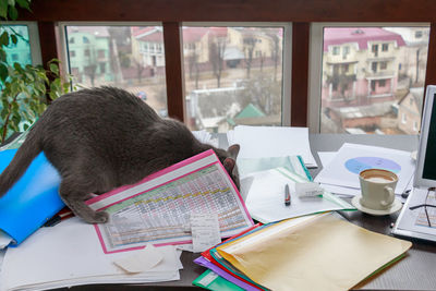 Close-up of open book on table