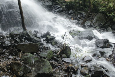 View of waterfall in forest