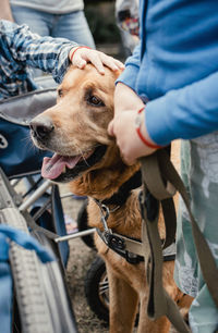 Man and dog looking at camera