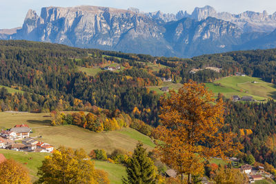 Scenic view of landscape during autumn