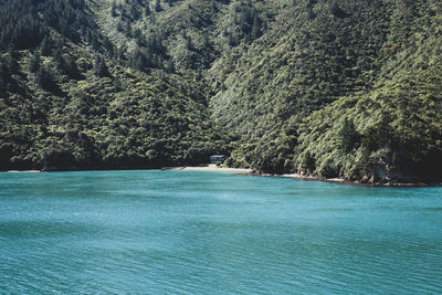 Scenic view of sea against trees in forest