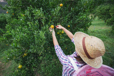 Midsection of woman holding fruit on land