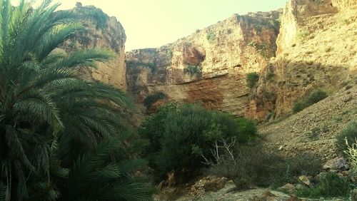 Panoramic view of rocks and trees against sky