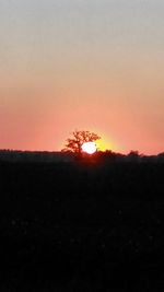 Silhouette trees on landscape against orange sky