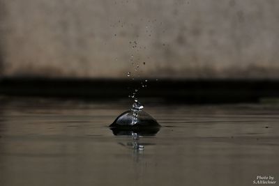 Close-up of water drops on glass