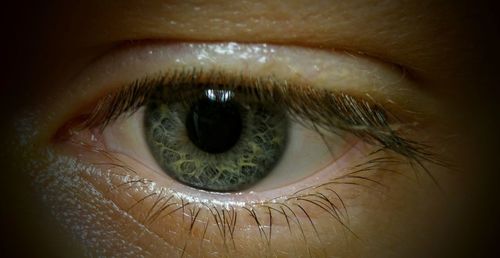 Close-up portrait of human eye