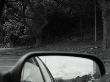 Close-up of side-view mirror