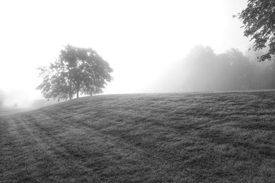 Scenic view of landscape against sky during foggy weather