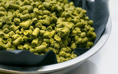 Close-up of green hops in bowl on table