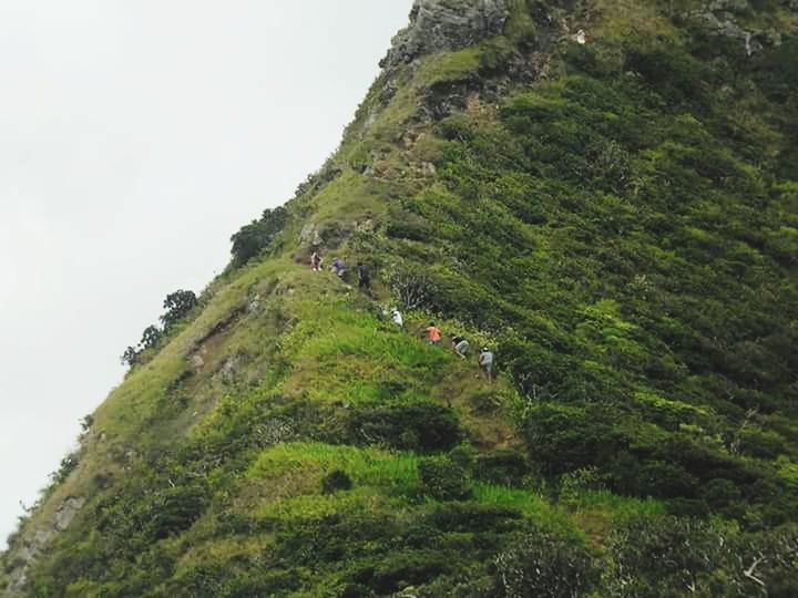 mountain, tree, green color, tranquility, tranquil scene, nature, sky, scenics, beauty in nature, landscape, growth, day, hill, clear sky, non-urban scene, high angle view, low angle view, outdoors, men