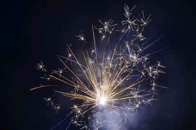 Low angle view of firework display against sky at night