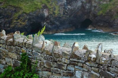 Close-up of lizard on rock by sea