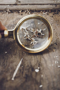 Close-up of magnifying glass