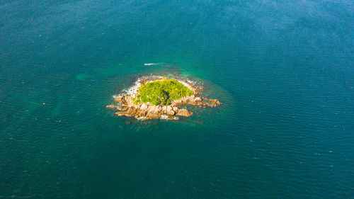 A tropical island in the blue sea. sri lanka.