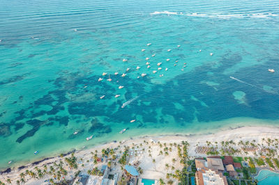 Aerial view of beach