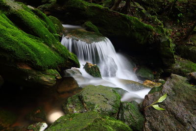 Scenic view of waterfall