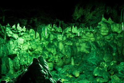 Close-up of water in cave