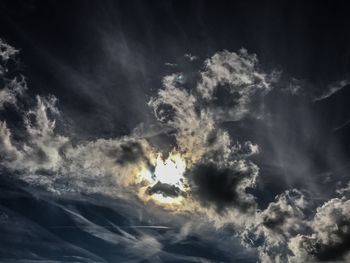 Low angle view of tree against sky