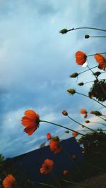 Low angle view of flowering plant against cloudy sky