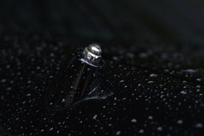 Close-up of glass bottle