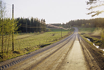 Road amidst trees against sky