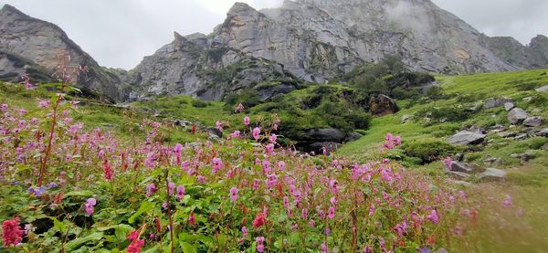 mountain