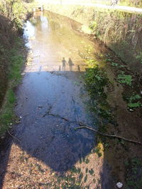 High angle view of wet ground